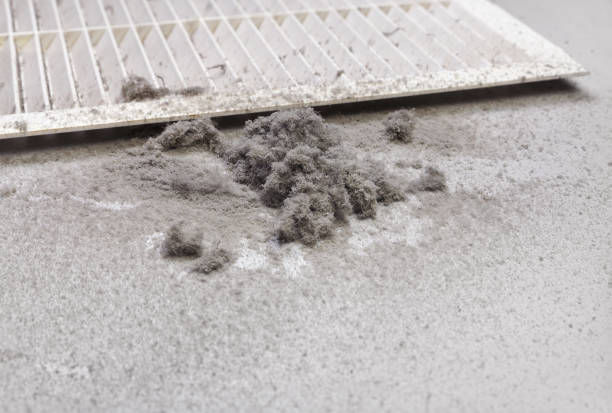 Best Ductwork Cleaning Services  in Rossville, MD